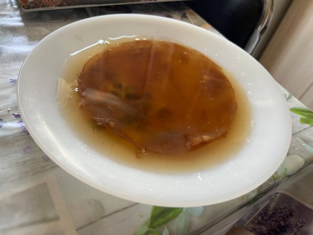 Kombucha gomba