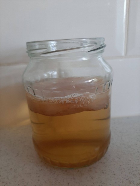 Kombucha gomba indtteval az egszsgnkrt