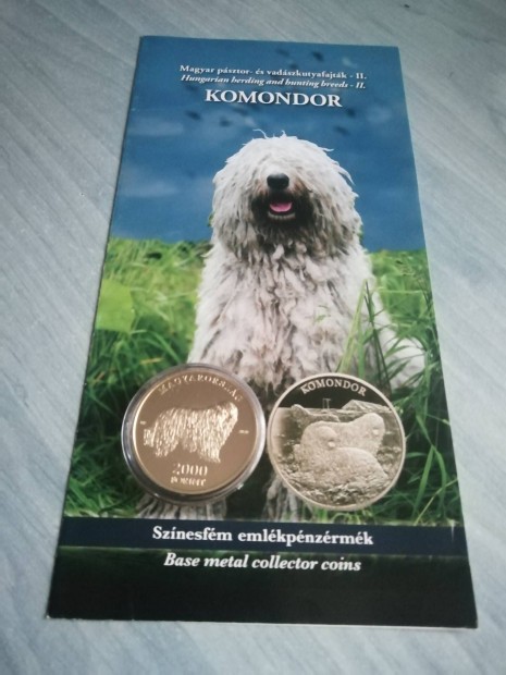 Komondor 2000ft