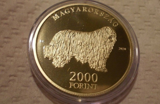 Komondor kutya, forint emlkrme, magyar kutyafajtk