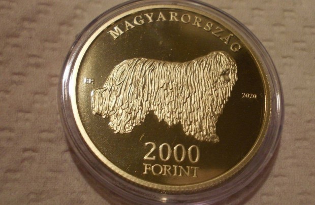 Komondor kutya, forint emlkrme, magyar kutyafajtk