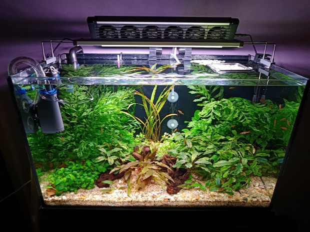 Komplett akvrium 60x30x30cm 