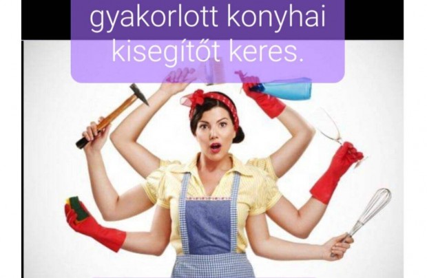 Konyhai kiseg�t� �ll�s a Provence �tterembe