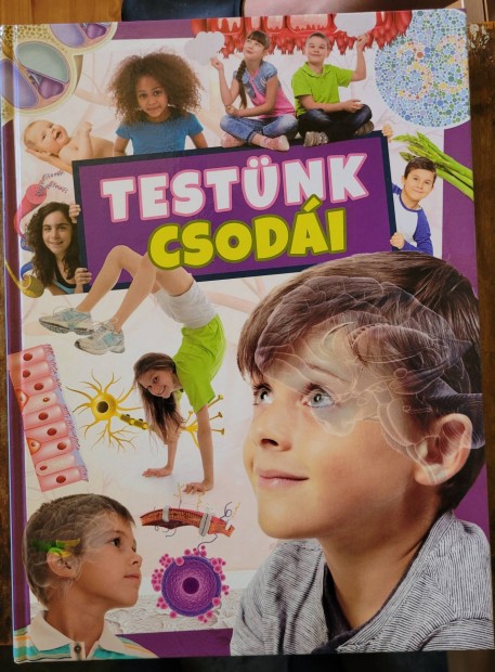 Knyv: Testnk csodi