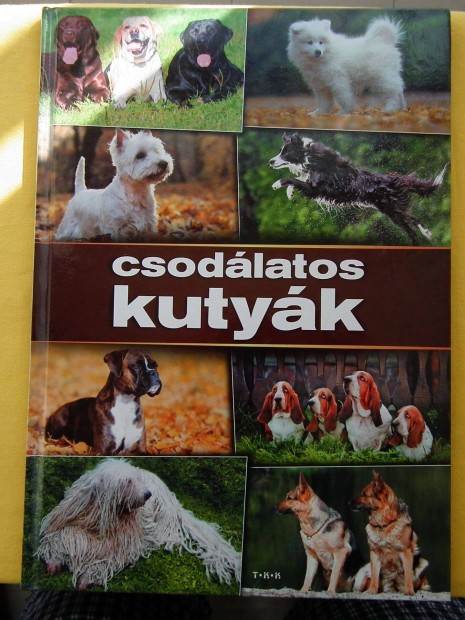 Knyv - Csodlatos kutyk