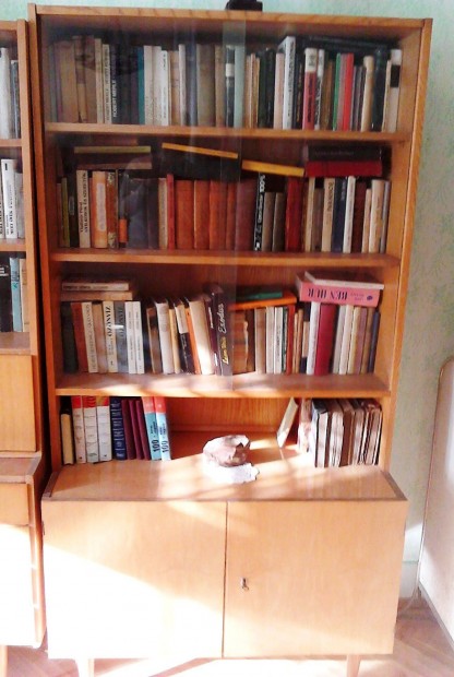 K�nyvszekr�ny elad�