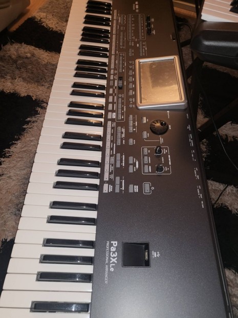 Korg Pa3  x Le  2 napig ennyirt!