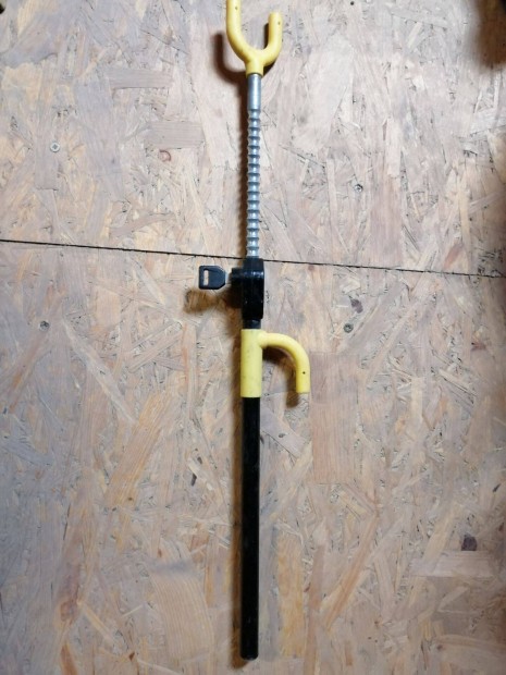 Kormnyzr szemlyautba / acl anyag lopsgtl