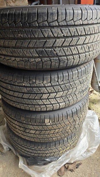 Kormoran summer ny�rigumi