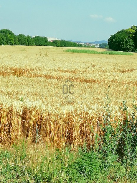 K�rnye ipari parkban 7 hekt�r f�ldter�let ipari beruh�z�s�ra