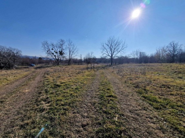 K�rnyei elad� mez�gazdas�gi ingatlan