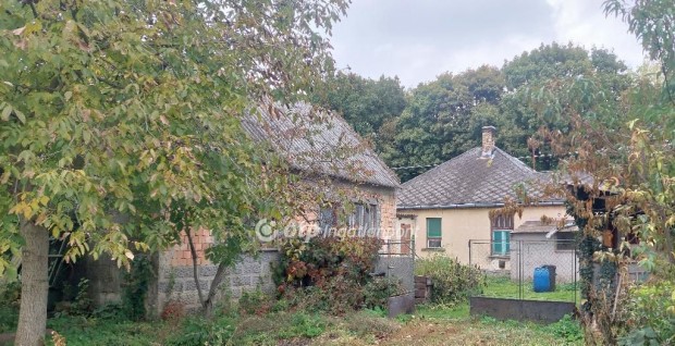 Koronc�i elad� 60 nm-es h�z