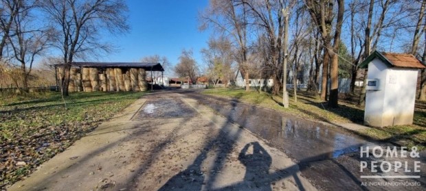 Korszerű sertéstelep - Algyő
