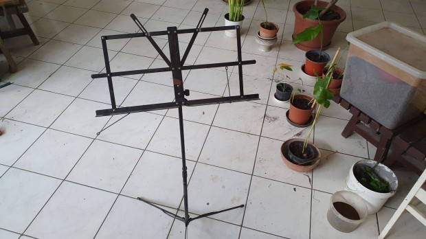 Kotta tart llvny kottatart