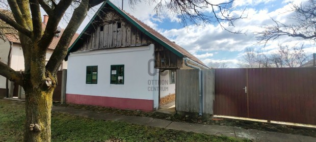 K�zel 100 �ves paraszth�z �j t�rt�netre v�r Csan�dpalot�n