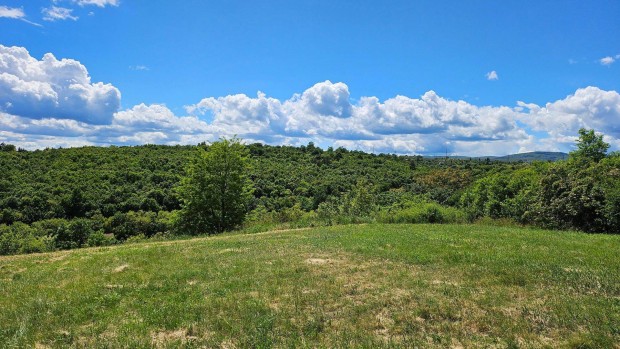 K�z�pruzsind�l�n panor�m�s telek elad�!