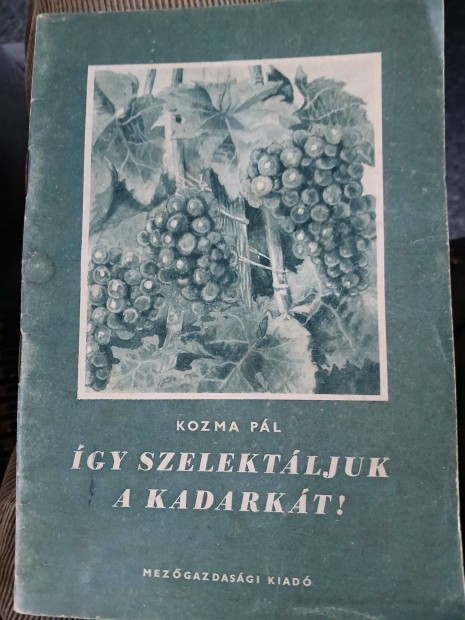 Kozma Pl: gy szelektljuk a kadarkt 1959 szlszet