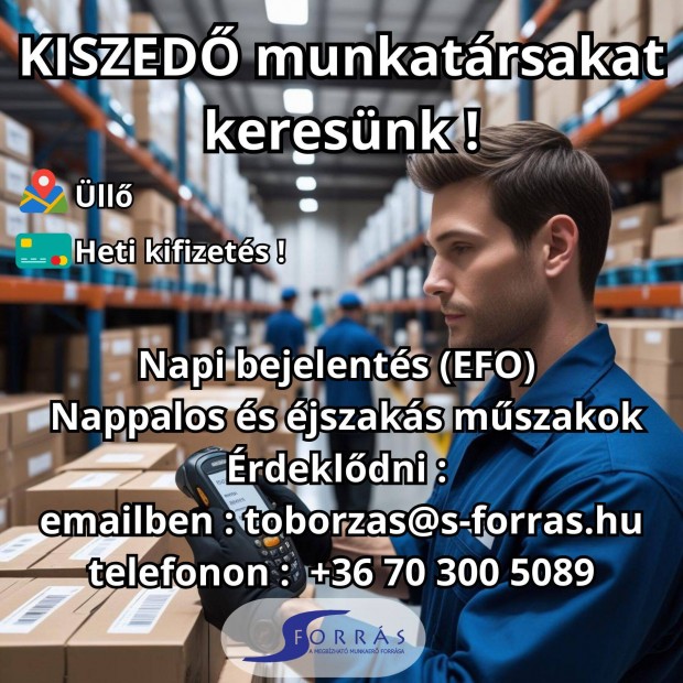 Kozmetikai raktárba kiszedőt keresünk