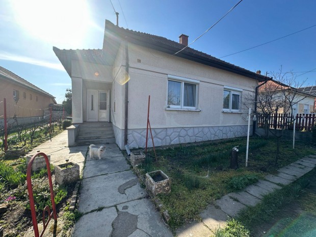 K�zponz k�zeli j� adotts�g� k�d�rkocka Elad� B�k�scsab�n