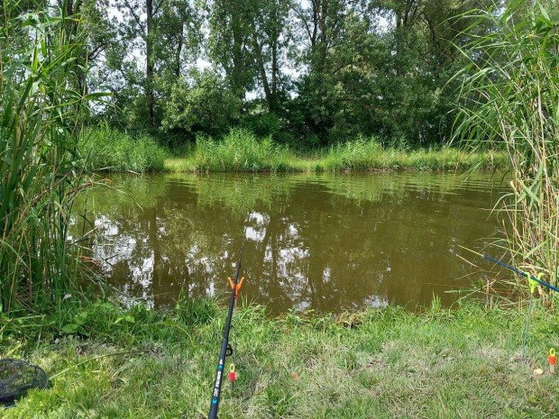 K�zvetlen v�zparti nyaral� elad� D�ms�d�n!