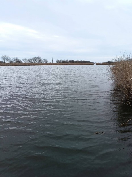 K�zvetlen v�zparti telek elad�!