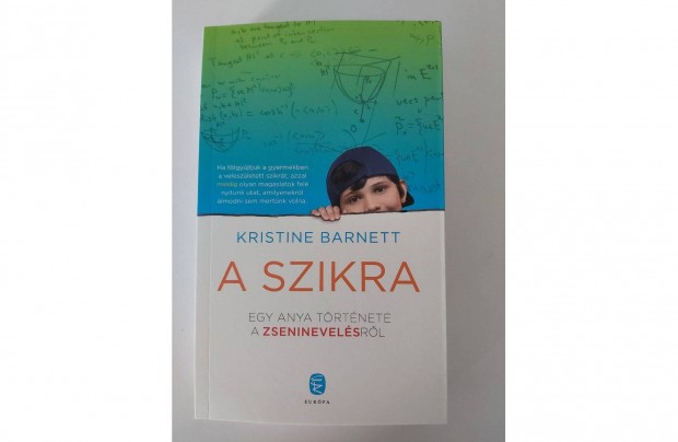 Kristine Barnett: A szikra