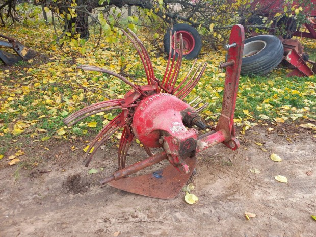 Krumpli / burgonya kiprget