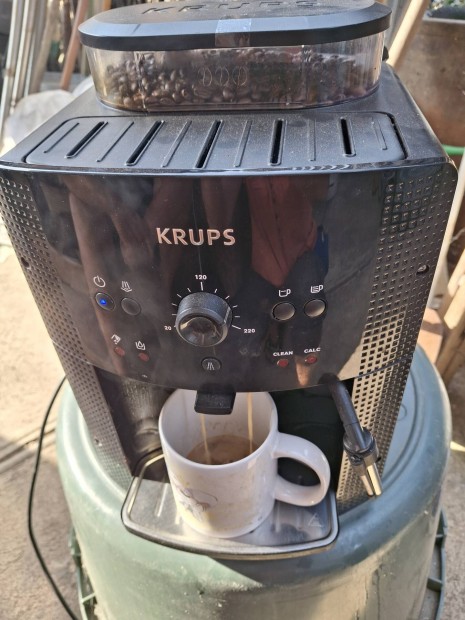 Krups kvgp