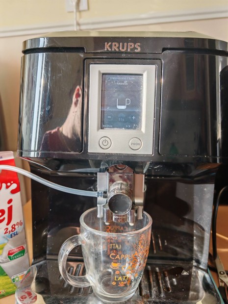 Krups nyers KV gp