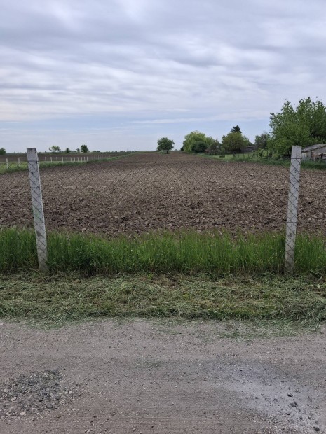 Kulcsi telek