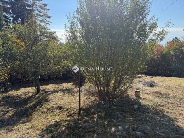 K�l�nleges otthon �s kiv�teles befektet�s P�cs-Mecsekoldalon!