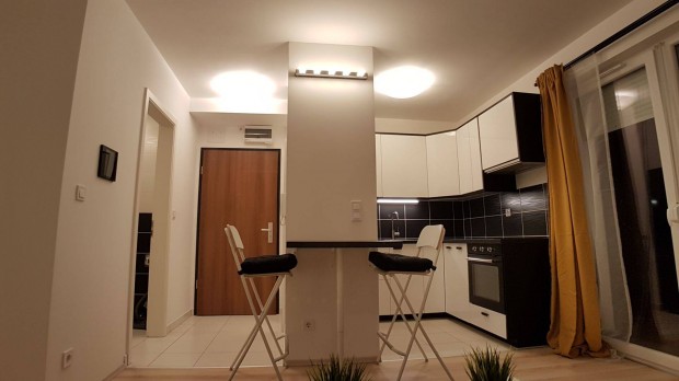 K�l�nleges pesti kislak�s saj�t kerttel �j b�rl�j�t v�rja