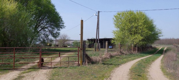 Klterleten lv elkertett terlet gazdasgi plettel elad