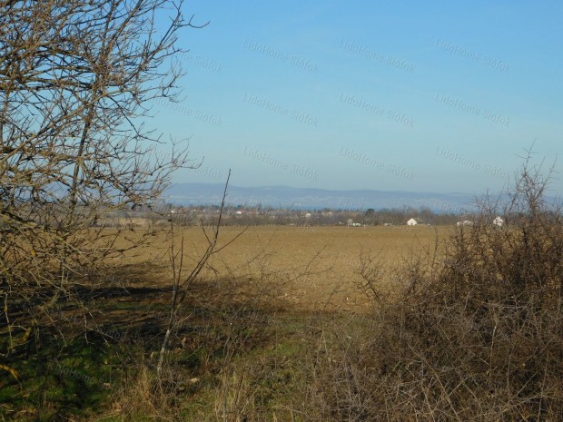 Klterleti sznt elad Balatonendrden