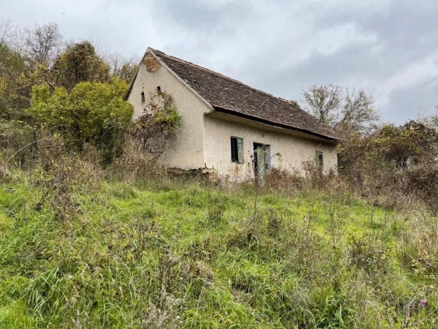 Kurdi szlhegyen panorms birtok elad