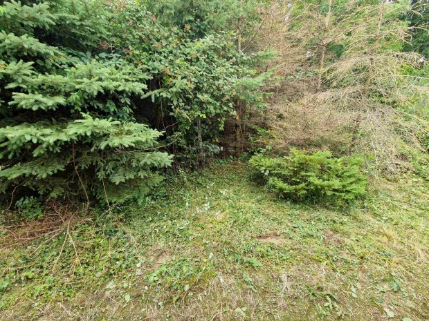 Kust�nszegen elad� �p�t�si telek!