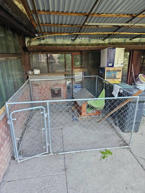 Kutya kennel