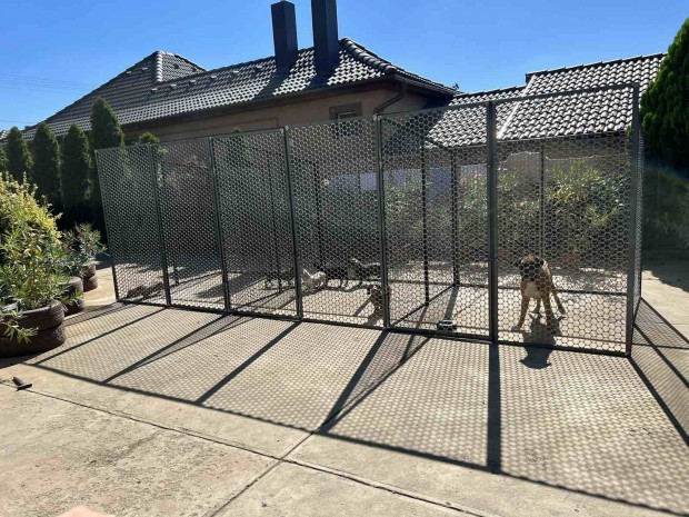 Kutya kennel 3 kapuval(6*2m)