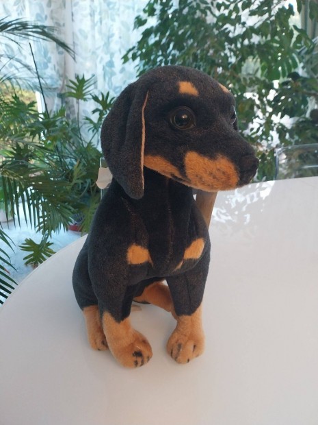 Kutya plss, l rottweiler