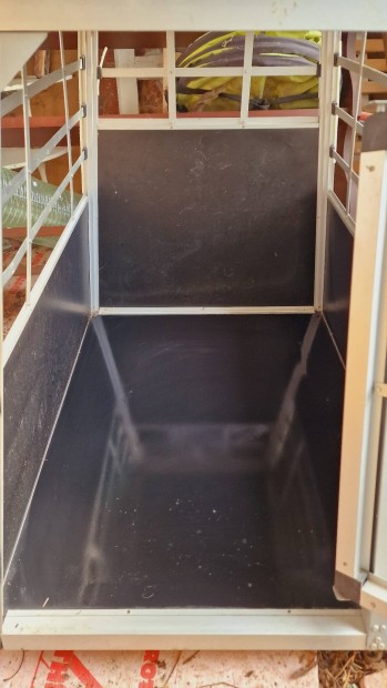 Kutya szllt box autba elad! :)