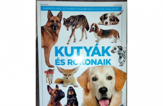 Kutyk s rokonaik