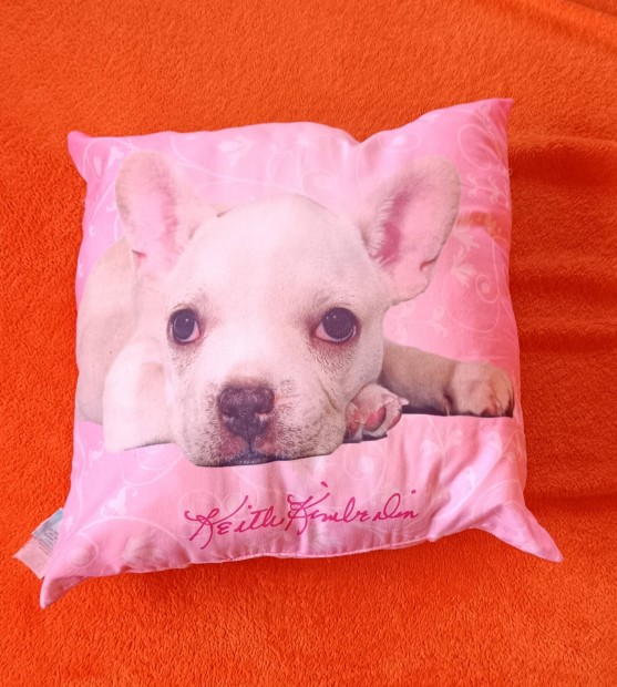 Kutys, francia bulldogos dszprna