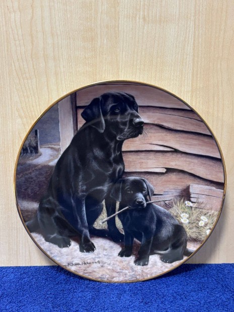 Kutyás porcelán dísztányér, labrador