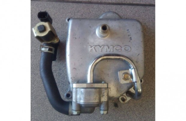 Kymco Xciting 250 szelepfedl