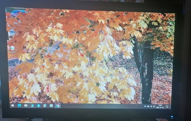 LCD Monitor 19"