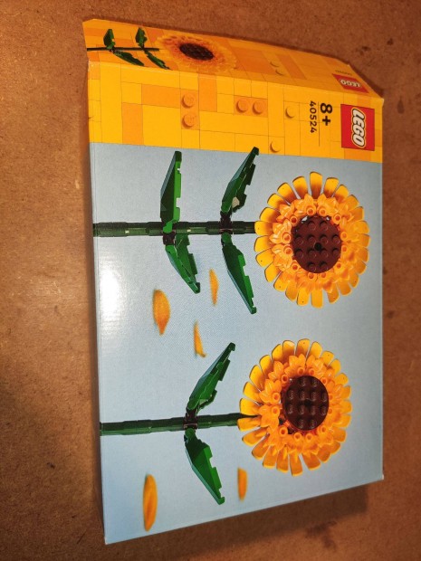 LEGO 40524 Napraforg dobozzal, lerssal 5000