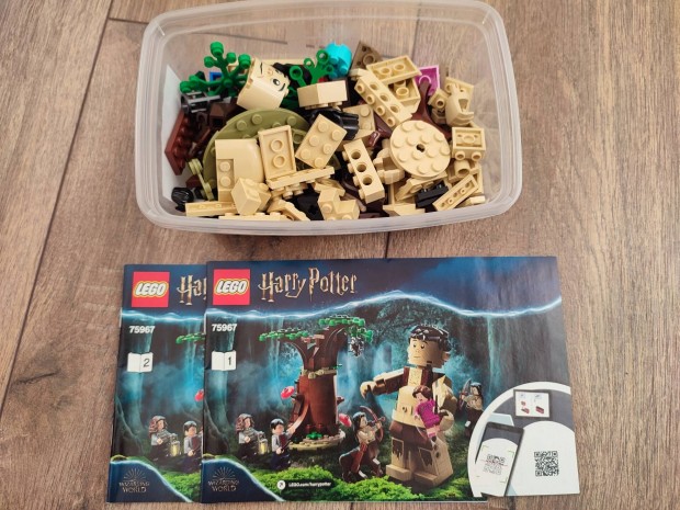 LEGO(R) Harry Potter(TM) - A Tiltott Rengeteg: sszecsaps  (75967)