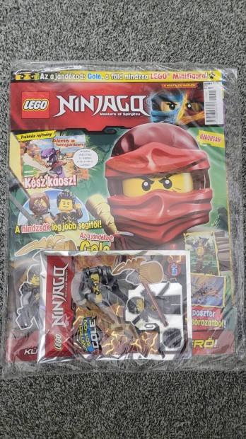 LEGO jsgok (SW,Ninjago,Mikuls,Batman) j, bontatlan