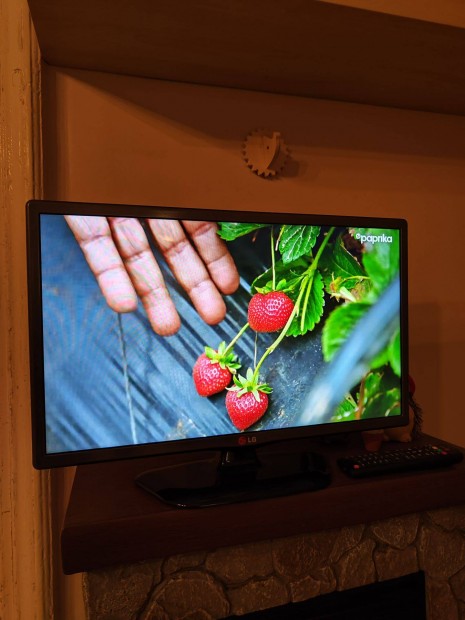 LG 22" TV s monitor
