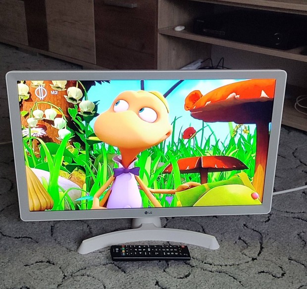 LG 24" led tv/monitor